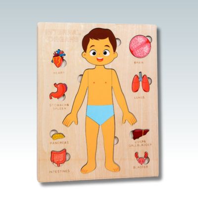 Puzzle-enfant-Montessori-corps-humain-Garçon-jouet-educjouet