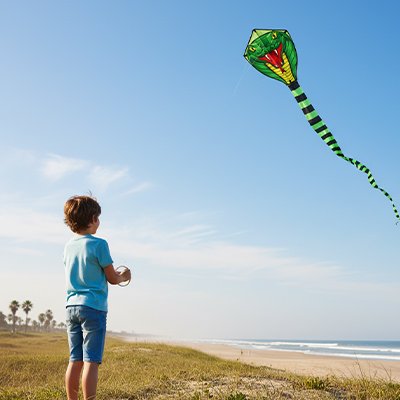 Cerf volant enfant plage foret