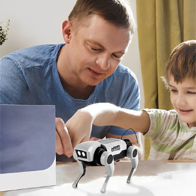 Jouet-robot-chat-en-famille