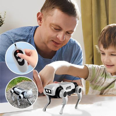 Jouet robot chat enfant et papa