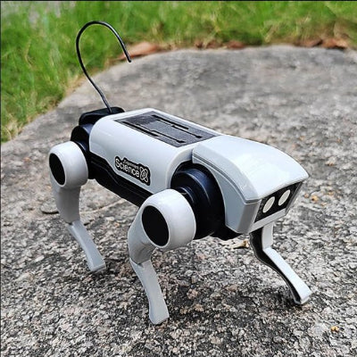 Jouet robot chat recharge soleil
