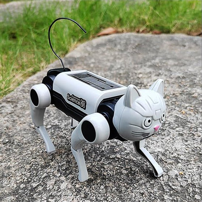Jouet robot chat rechargeable éducatif
