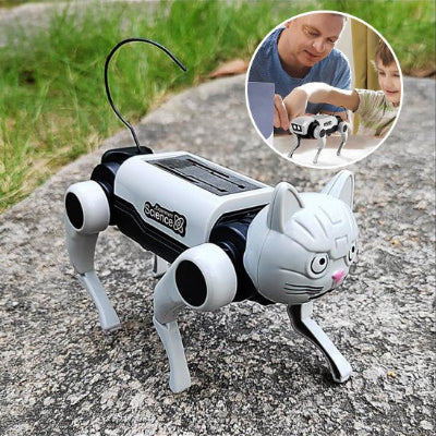 Jouet robot chat transformable papa enfant