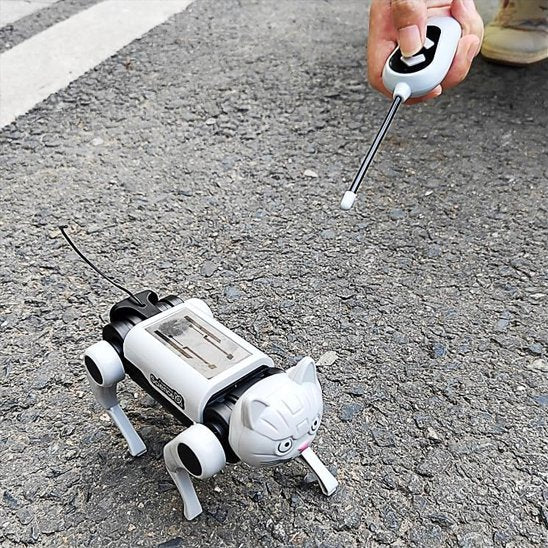 Jouet robot chat  enfant télécommandée extérieur