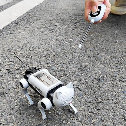 Jouet robot chat  enfant télécommandée extérieur