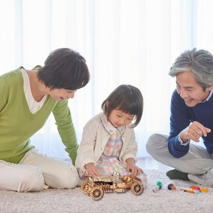 puzzle-3d-bois-familles