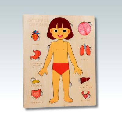 puzzle-enfant-5ans-corps-humain